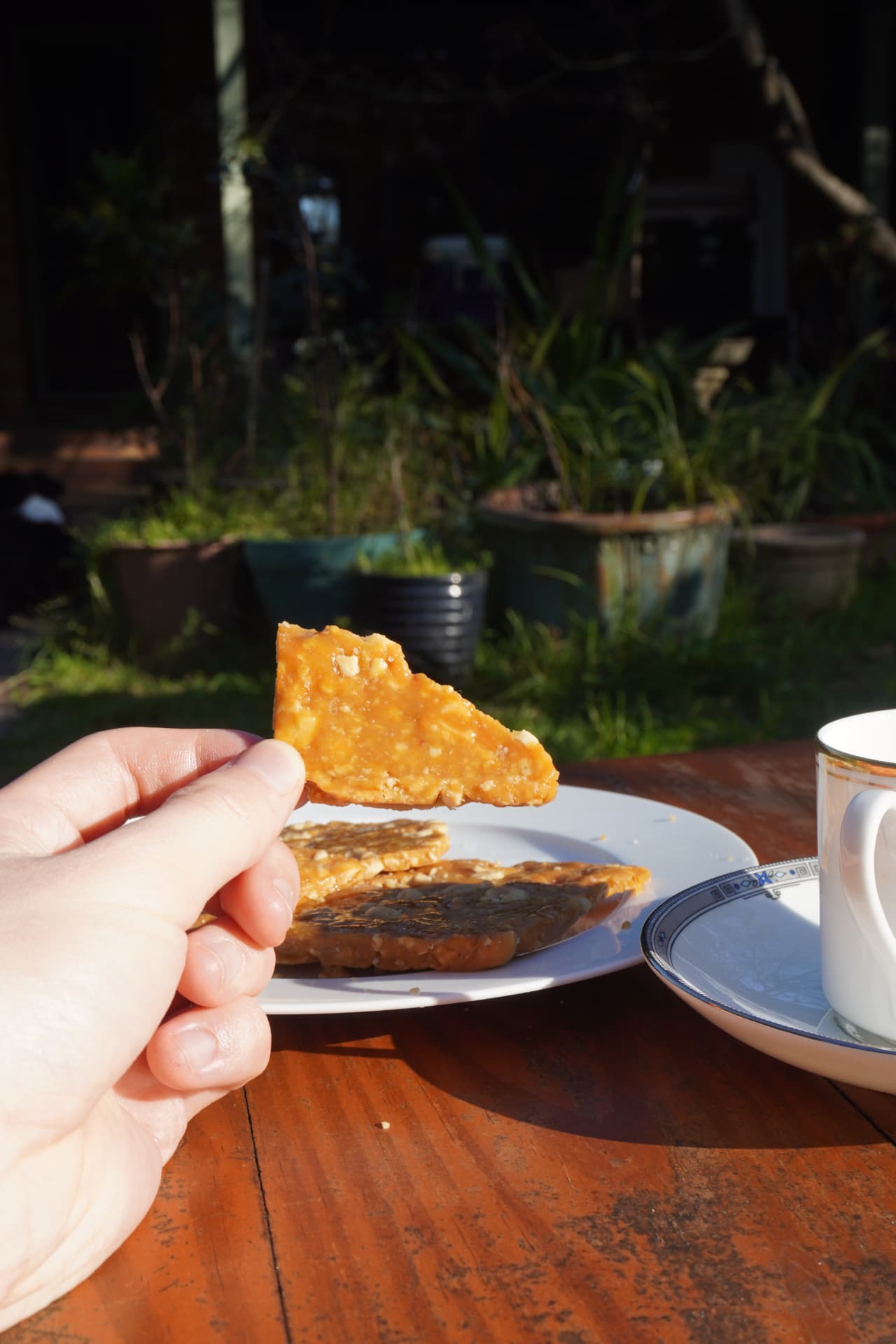 Hand holding a shard of Bob's peanut brittle in the afternoon sun